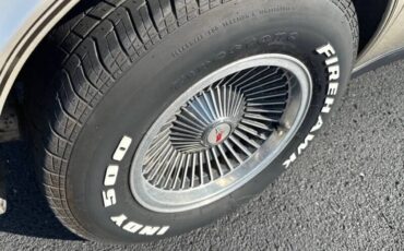 Chevrolet-Corvette-1982-Beige-Beige-10