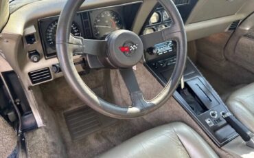 Chevrolet-Corvette-1982-Beige-Beige-14