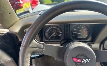 Chevrolet-Corvette-1982-Beige-Beige-15