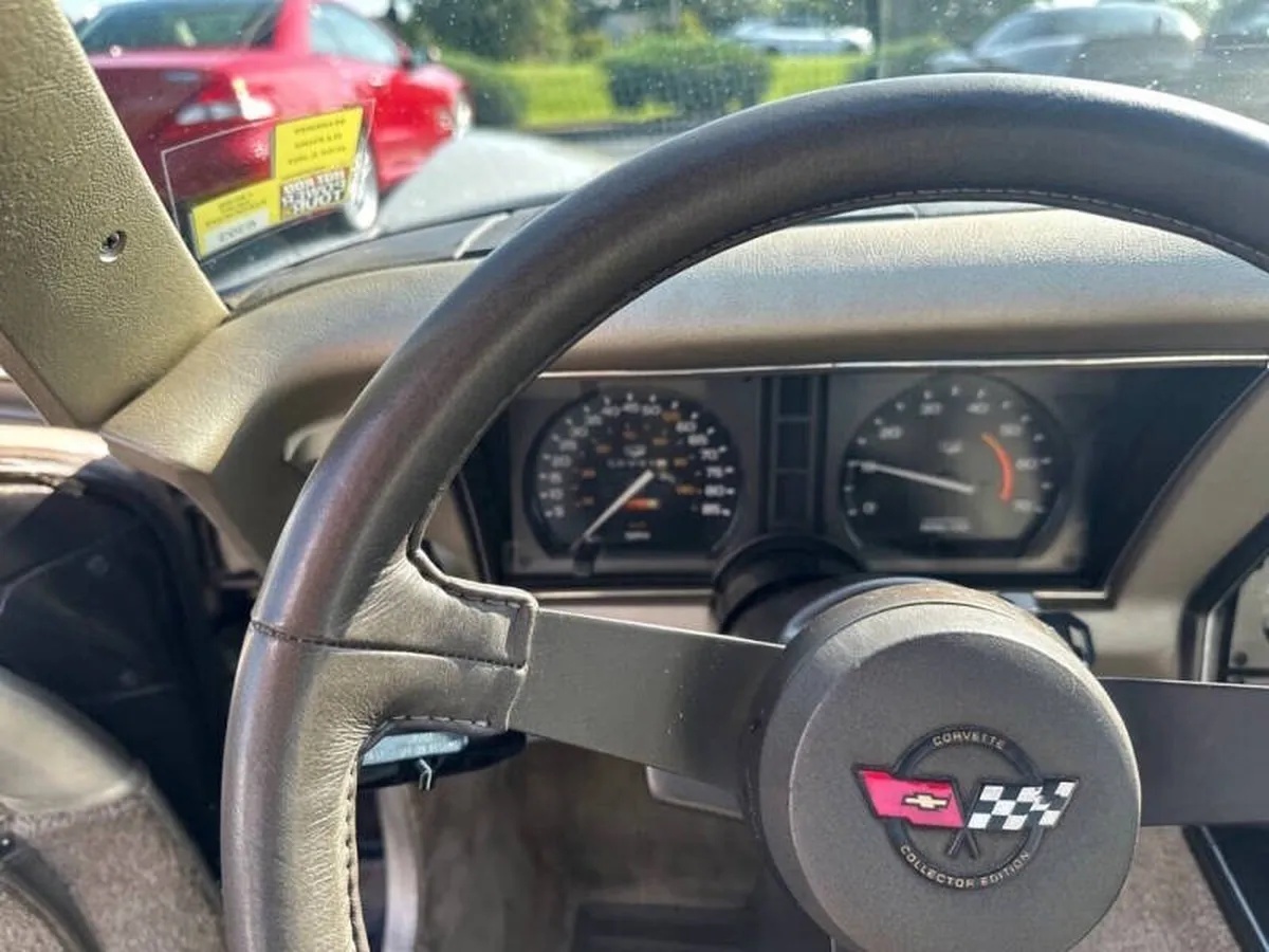Chevrolet-Corvette-1982-Beige-Beige-15