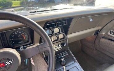 Chevrolet-Corvette-1982-Beige-Beige-16