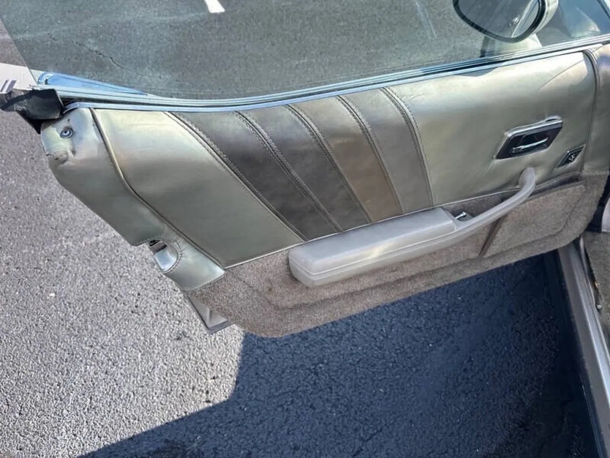 Chevrolet-Corvette-1982-Beige-Beige-17