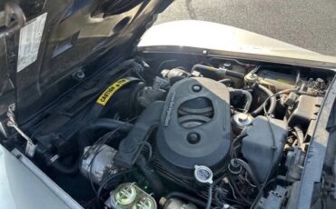 Chevrolet-Corvette-1982-Beige-Beige-18