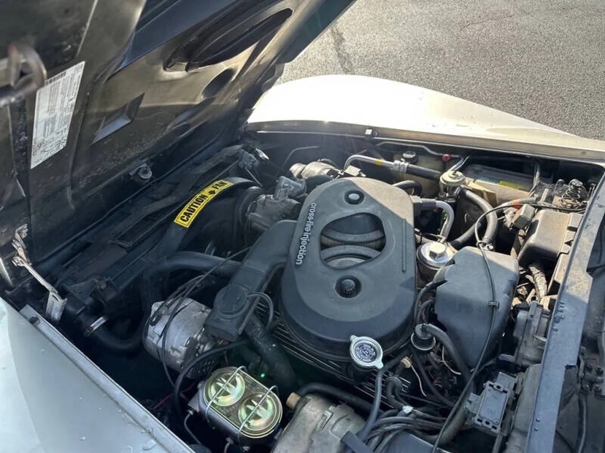 Chevrolet-Corvette-1982-Beige-Beige-18