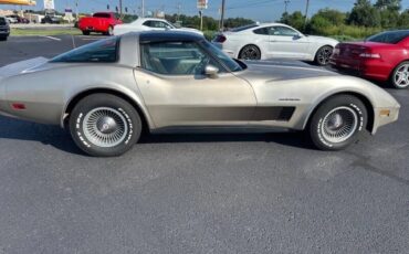 Chevrolet-Corvette-1982-Beige-Beige-19