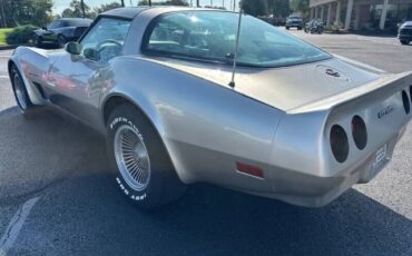 Chevrolet-Corvette-1982-Beige-Beige-4