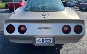 Chevrolet-Corvette-1982-Beige-Beige-5