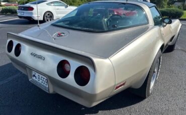 Chevrolet-Corvette-1982-Beige-Beige-6