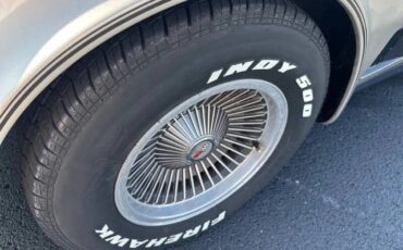 Chevrolet-Corvette-1982-Beige-Beige-8