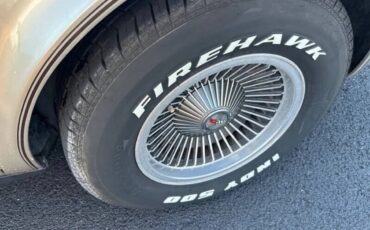 Chevrolet-Corvette-1982-Beige-Beige-9