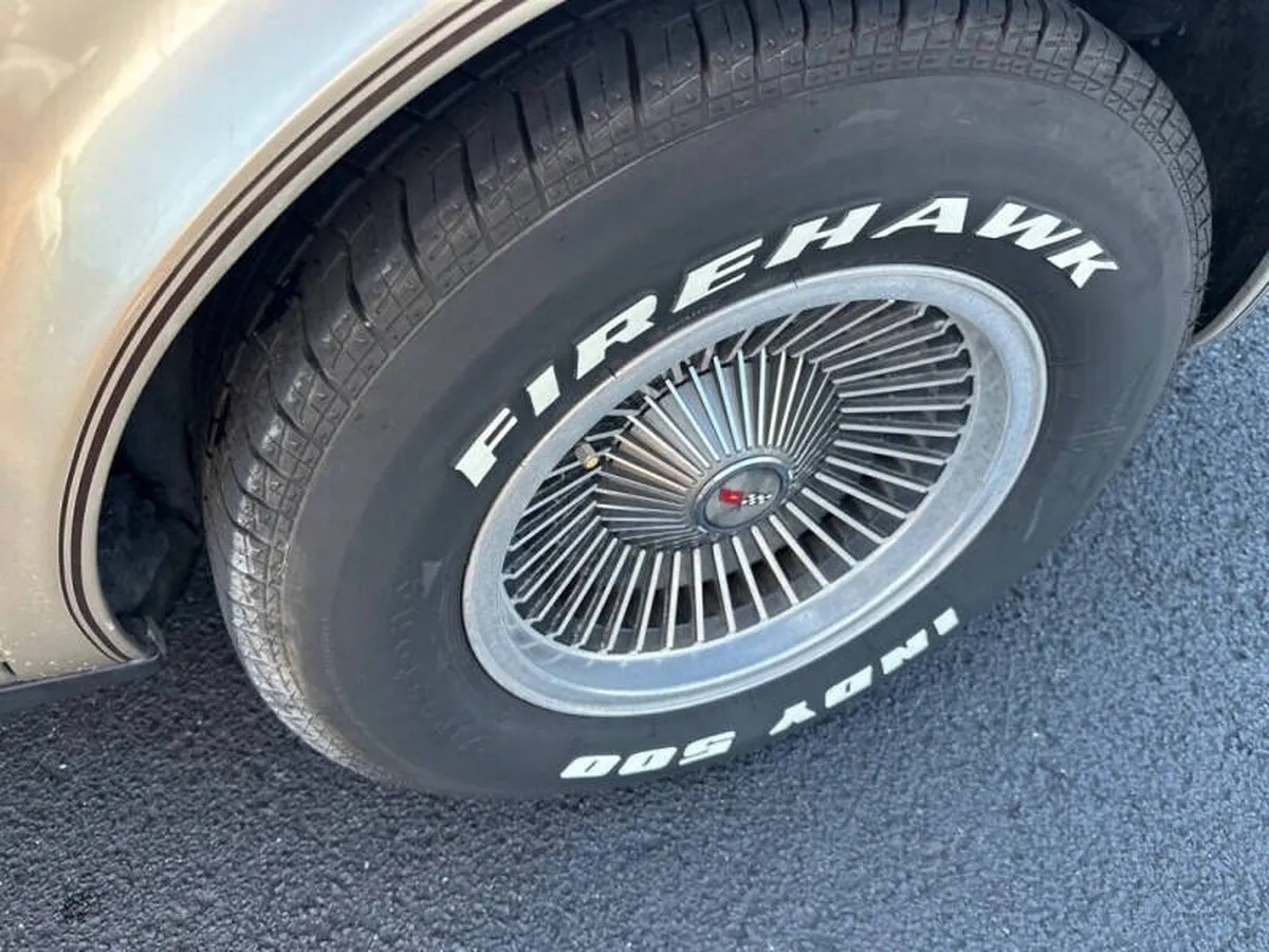 Chevrolet-Corvette-1982-Beige-Beige-9