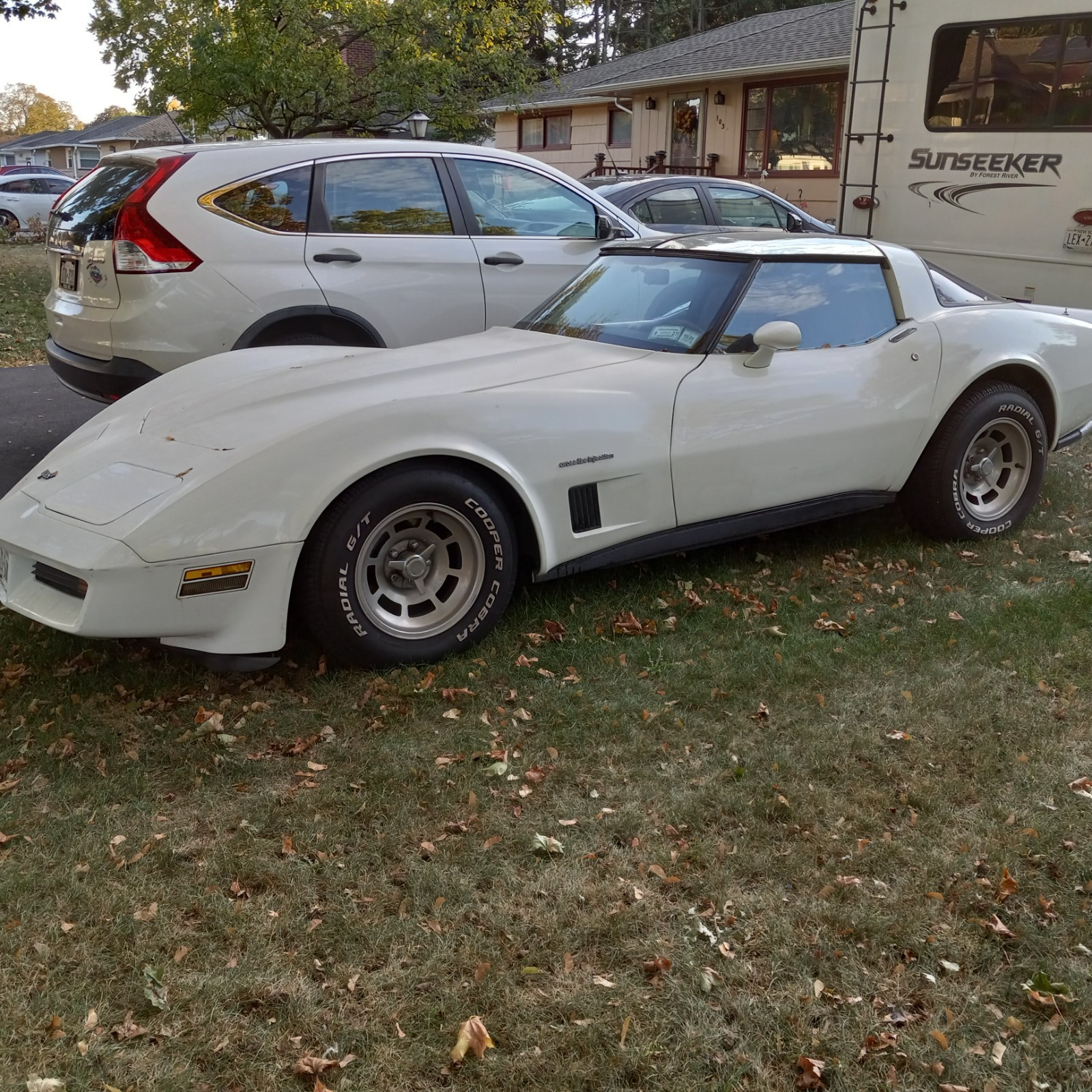 Chevrolet-Corvette-1982-Coupe-1