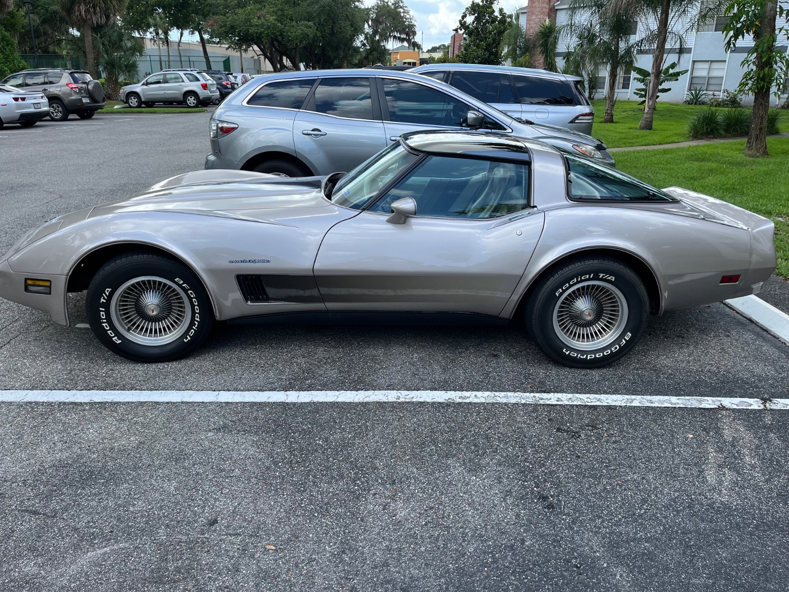 Chevrolet-Corvette-1982-Coupe-11