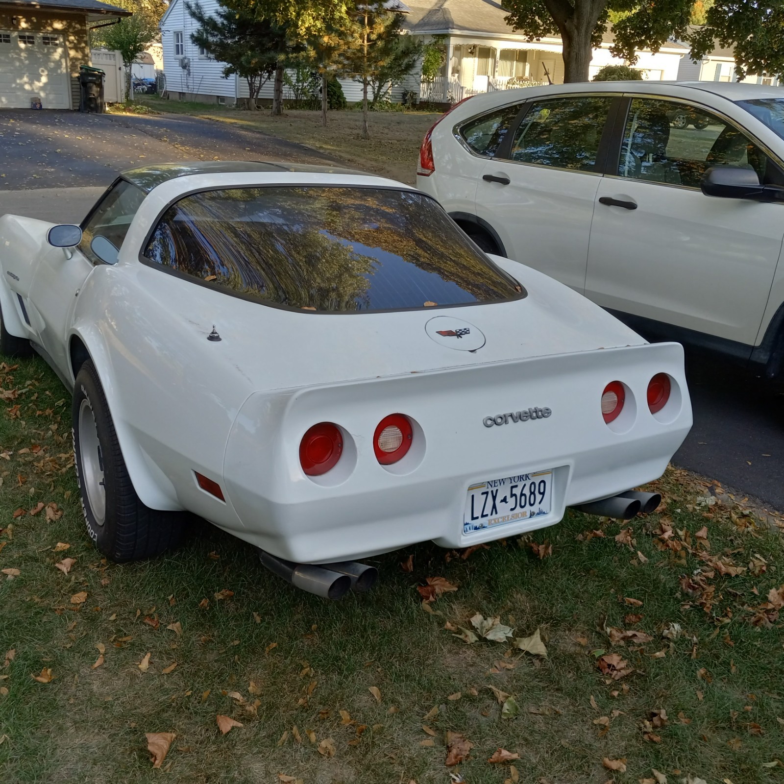 Chevrolet-Corvette-1982-Coupe-2