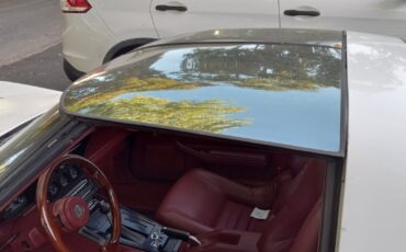 Chevrolet-Corvette-1982-Coupe-3