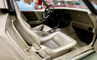 Chevrolet-Corvette-1982-Silver-Beige-Metallic-Multi-Tone-Silver-Beige-Leather-10