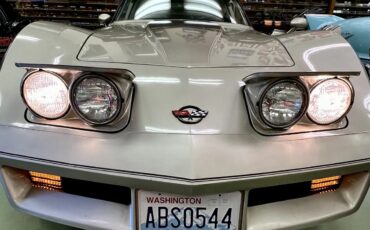 Chevrolet-Corvette-1982-Silver-Beige-Metallic-Multi-Tone-Silver-Beige-Leather-17