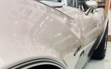 Chevrolet-Corvette-1982-Silver-Beige-Metallic-Multi-Tone-Silver-Beige-Leather-2