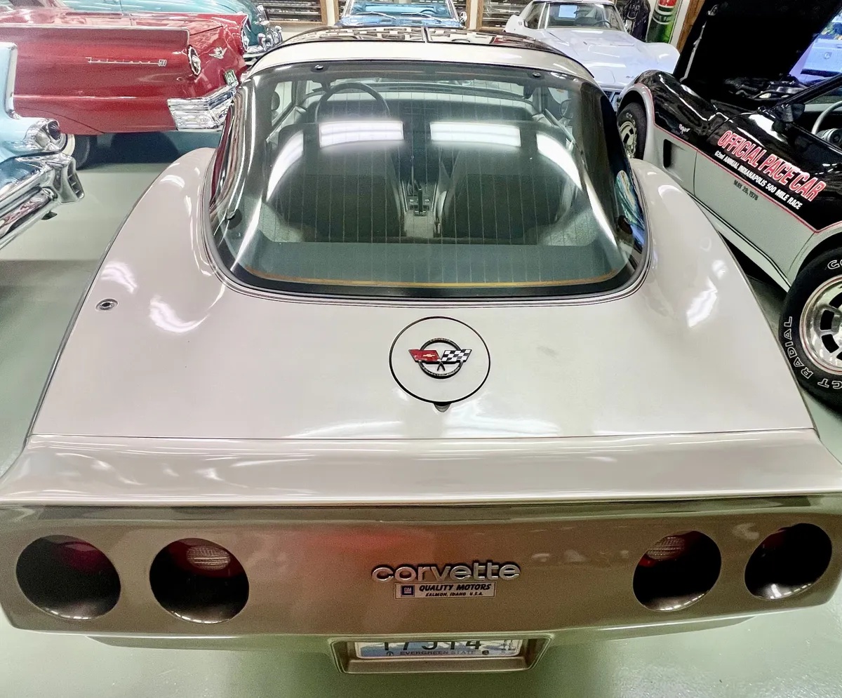 Chevrolet-Corvette-1982-Silver-Beige-Metallic-Multi-Tone-Silver-Beige-Leather-3