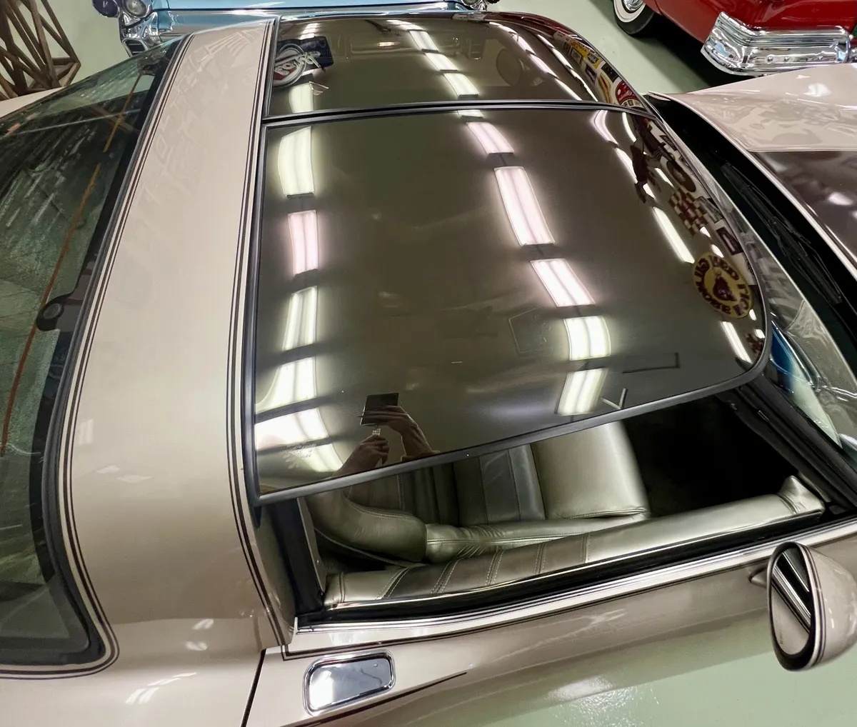 Chevrolet-Corvette-1982-Silver-Beige-Metallic-Multi-Tone-Silver-Beige-Leather-5