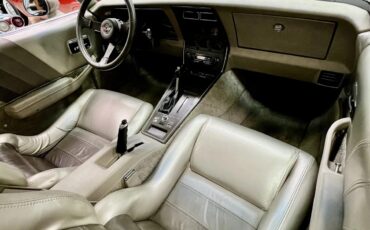 Chevrolet-Corvette-1982-Silver-Beige-Metallic-Multi-Tone-Silver-Beige-Leather-6