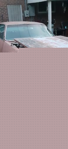 Chevrolet-Corvette-1982-Silver-Red-12