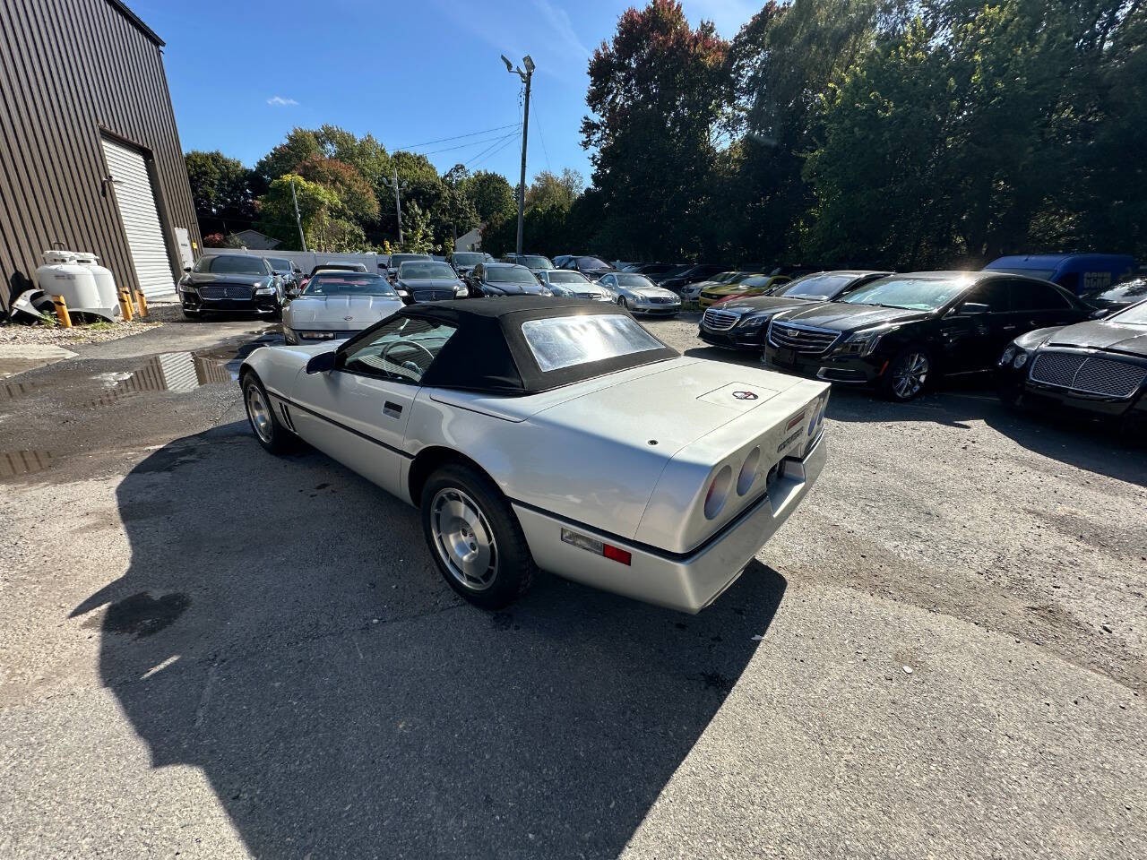 Chevrolet-Corvette-1986-Convertible-22
