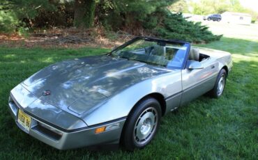 Chevrolet-Corvette-1986-Grey-Grey