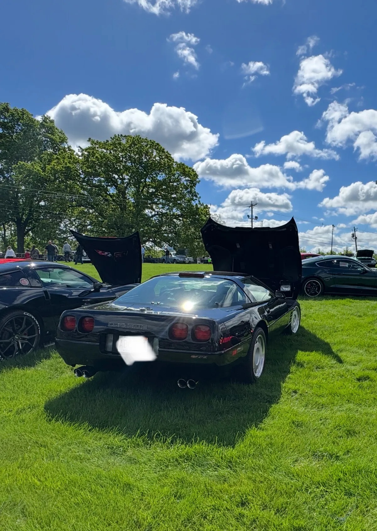 Chevrolet-Corvette-1991-Black-Saddle-Leather-17