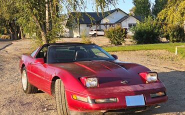 Chevrolet-Corvette-1991-Coupe-5