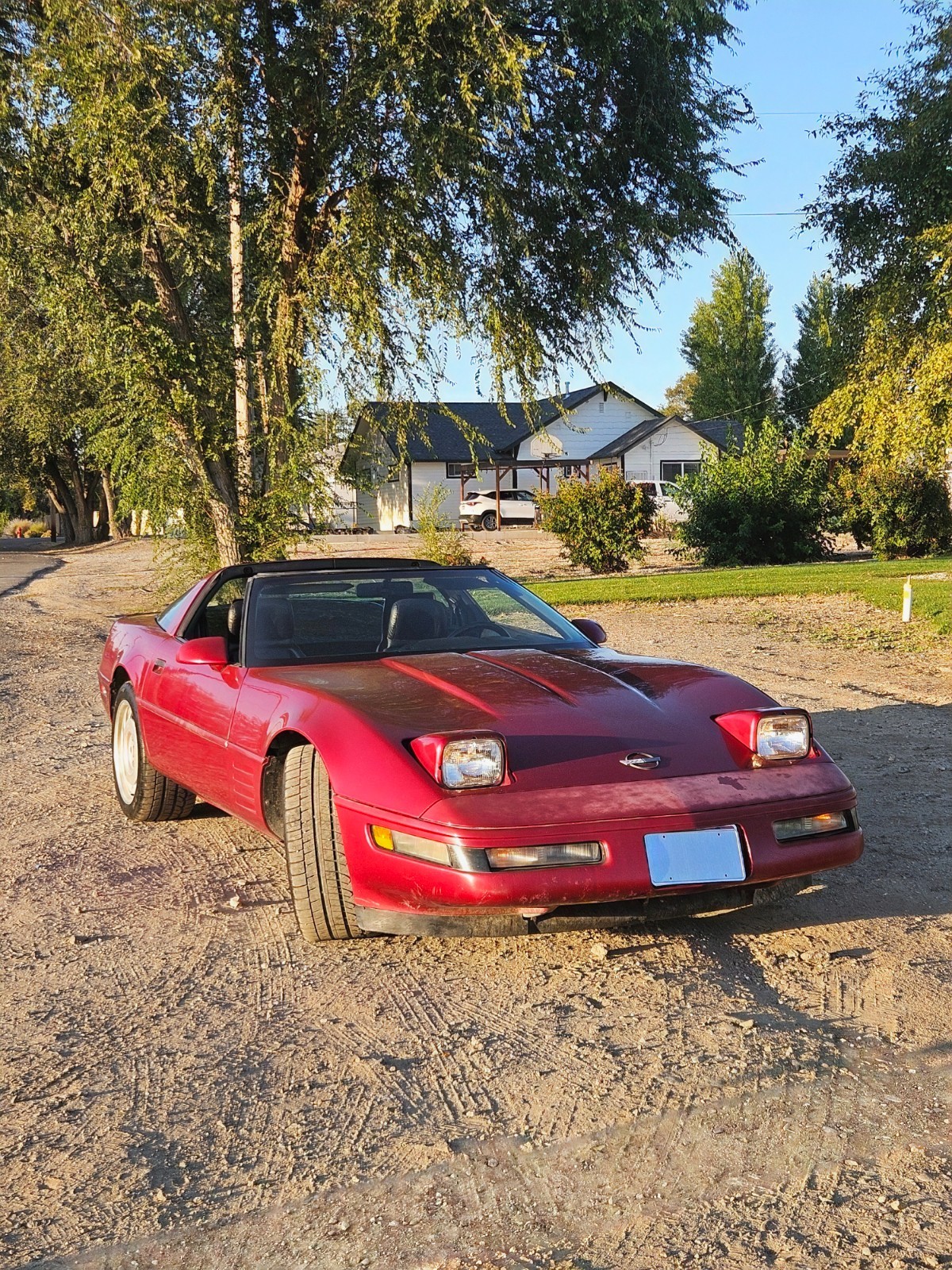 Chevrolet-Corvette-1991-Coupe-5