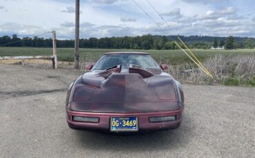 Chevrolet-Corvette-1992-Hatchback-3
