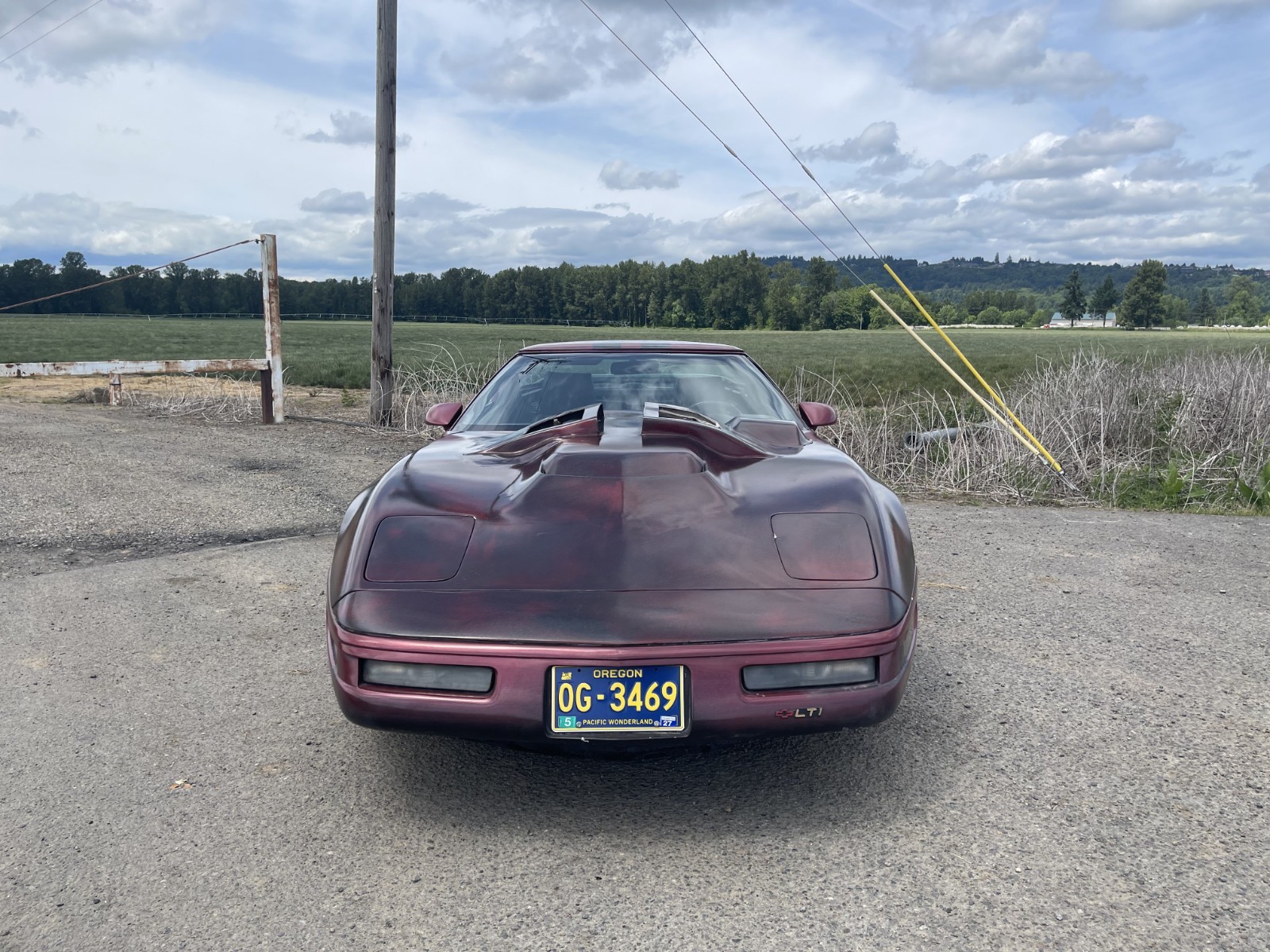 Chevrolet-Corvette-1992-Hatchback-3