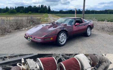 Chevrolet-Corvette-1992-Hatchback