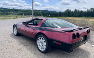 Chevrolet-Corvette-1992-Hatchback-4