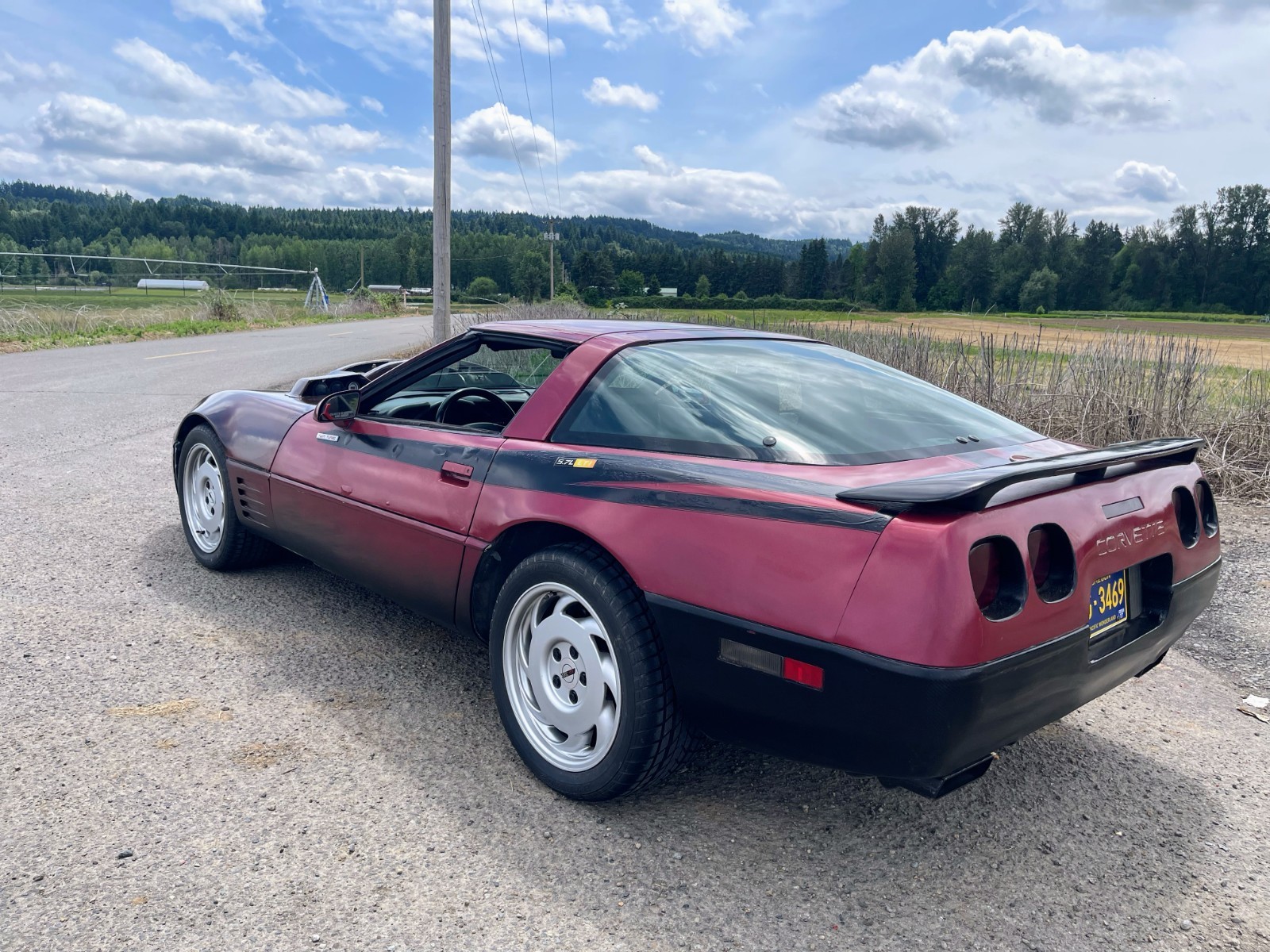 Chevrolet-Corvette-1992-Hatchback-4