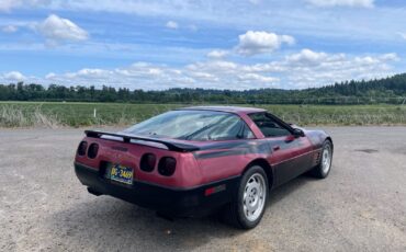 Chevrolet-Corvette-1992-Hatchback-5