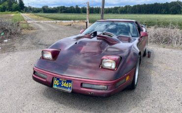 Chevrolet-Corvette-1992-Hatchback-6