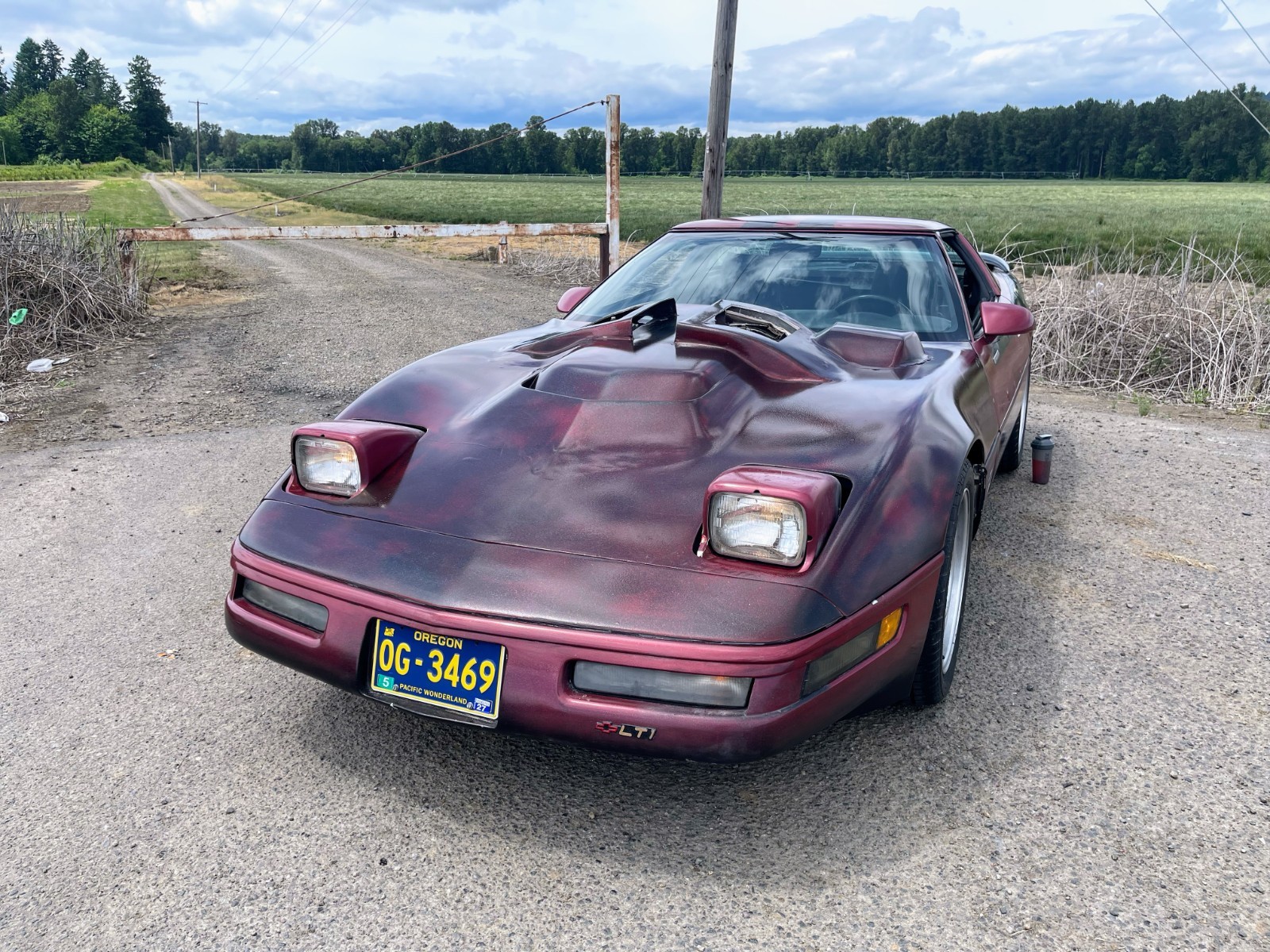 Chevrolet-Corvette-1992-Hatchback-6