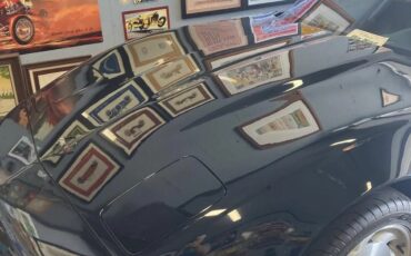 Chevrolet-Corvette-1993-14