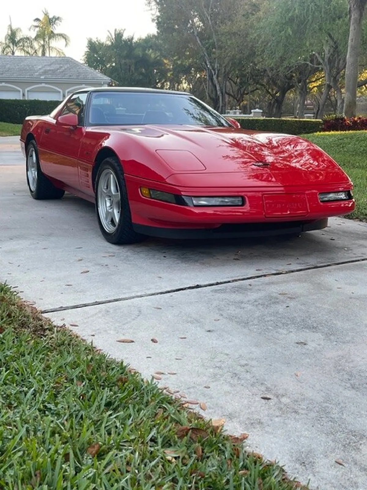 Chevrolet-Corvette-1994-Torch-Red-Black-3