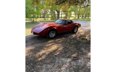 Chevrolet-Corvette-c3-collectors-edition-1978-Red-Black-1