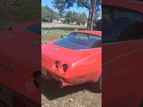 Chevrolet-Corvette-c3-collectors-edition-1978-Red-Black-10