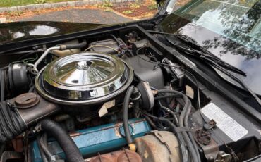 Chevrolet-Corvette-indy-500-pace-car-1978-BlackSilver-Silver-10