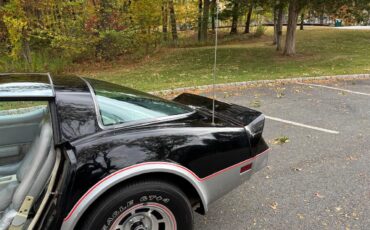 Chevrolet-Corvette-indy-500-pace-car-1978-BlackSilver-Silver-11