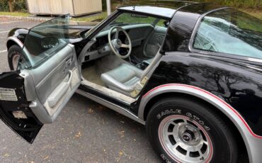Chevrolet-Corvette-indy-500-pace-car-1978-BlackSilver-Silver-13