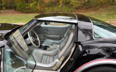 Chevrolet-Corvette-indy-500-pace-car-1978-BlackSilver-Silver-14