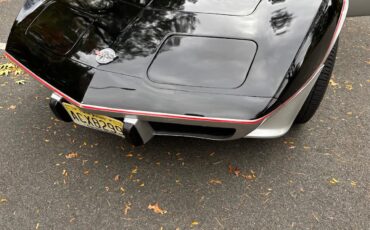 Chevrolet-Corvette-indy-500-pace-car-1978-BlackSilver-Silver-19