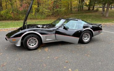 Chevrolet-Corvette-indy-500-pace-car-1978-BlackSilver-Silver-2