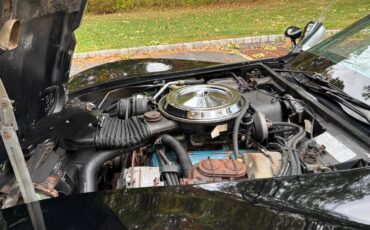 Chevrolet-Corvette-indy-500-pace-car-1978-BlackSilver-Silver-23